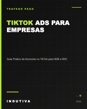 TikTok Ads para empresas - guia pratico de anuncios